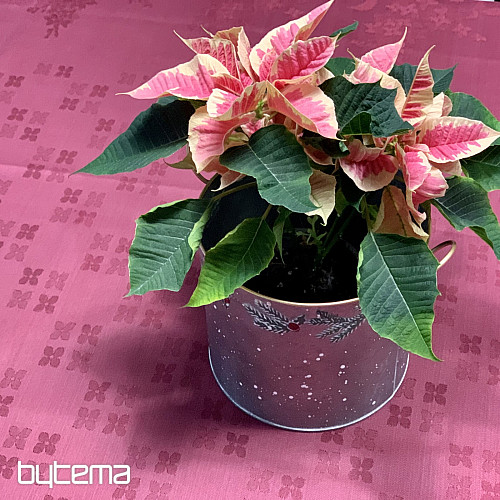 Obrus DAMASK kwiaty bordowy 120x140