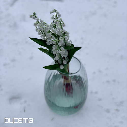 LILIA DŁUGOWIECZNOŚCI