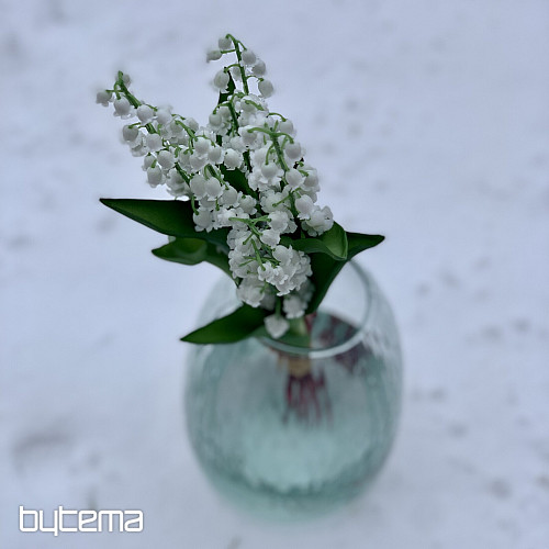 LILIA DŁUGOWIECZNOŚCI