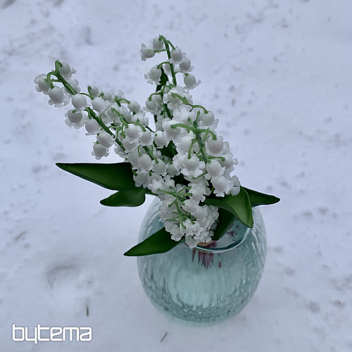 LILIA DŁUGOWIECZNOŚCI