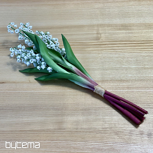 LILIA DŁUGOWIECZNOŚCI