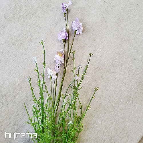 FIOLETOWE KWIATY ŁĄKOWE