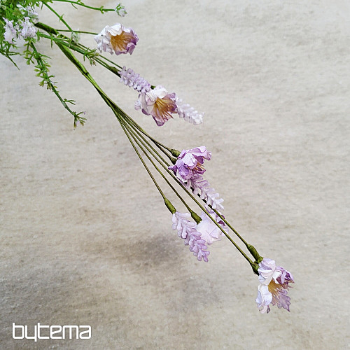 FIOLETOWE KWIATY ŁĄKOWE