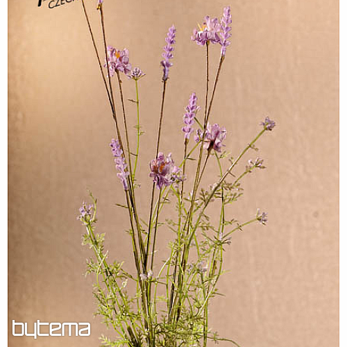 FIOLETOWE KWIATY ŁĄKOWE