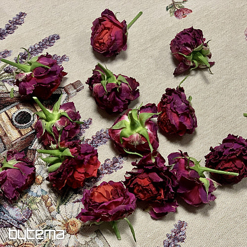 Obrus i szalik gobelinowy BIRDHOUSE