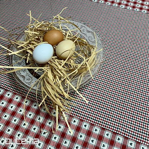 Obrus i szalik MAXI CORET czerwony