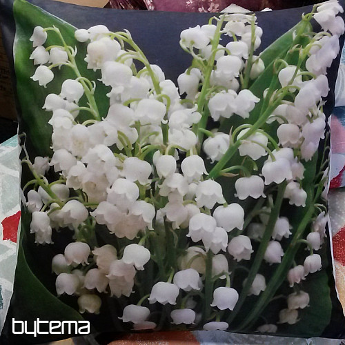 LILIA LILIOWA Poszewka na poduszkę