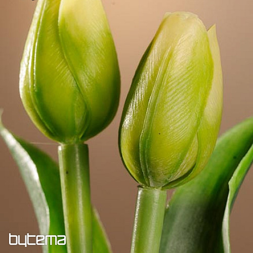 Tulipany mieszają kolory