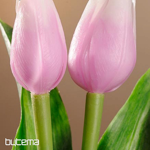 Tulipany mieszają kolory