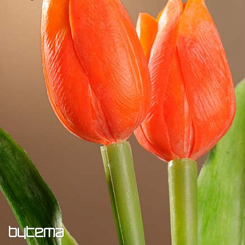 Tulipany mieszają kolory