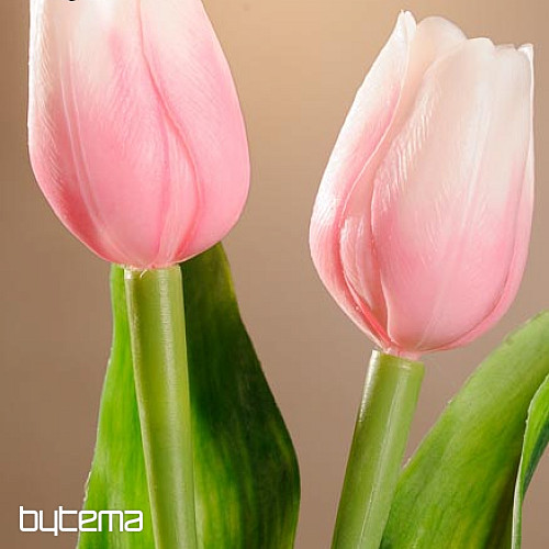 Tulipany mieszają kolory