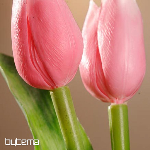 Tulipany mieszają kolory