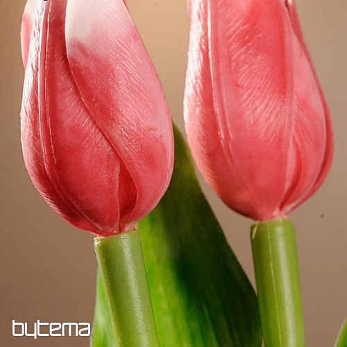 Tulipany mieszają kolory