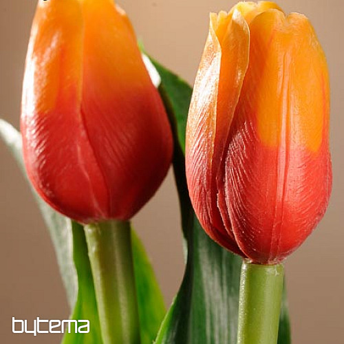 Tulipany mieszają kolory