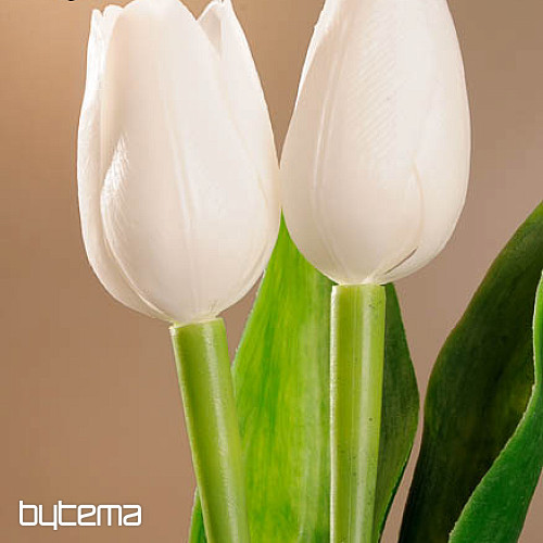 Tulipany mieszają kolory