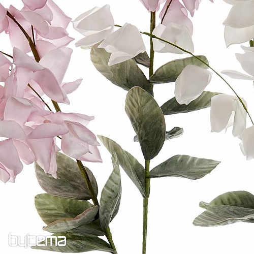 Glicynia 126 cm