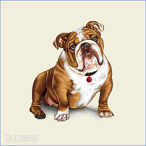 Poszewka na poduszkę Buldog angielski